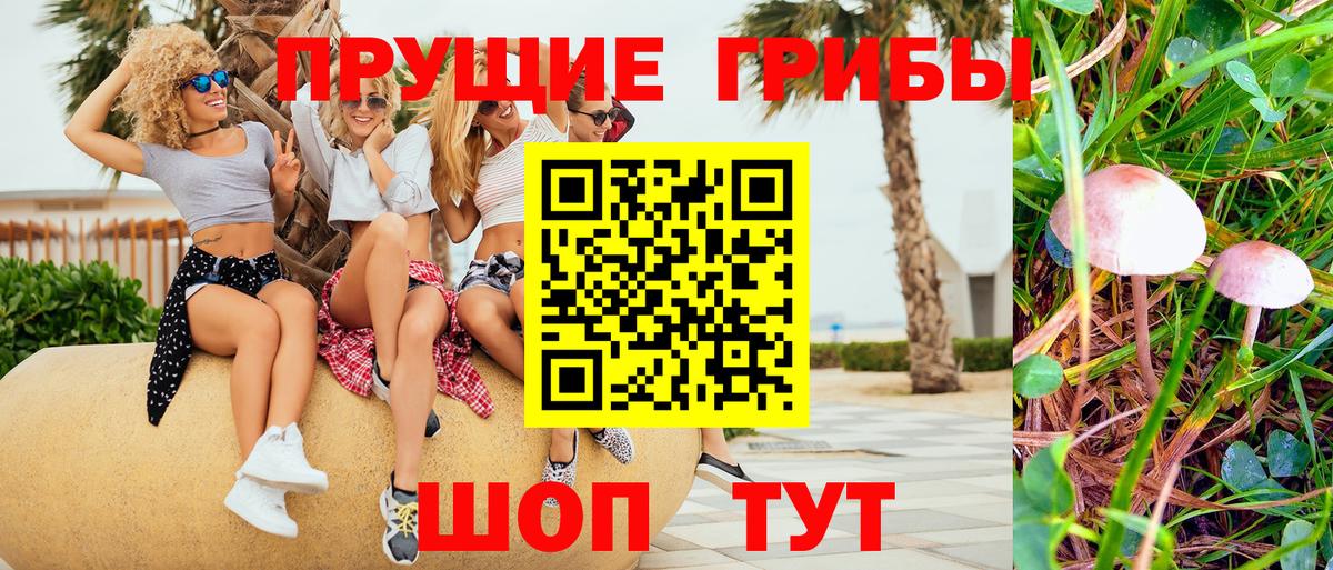 как найти закладки  Вход с VPN  Лабинск  Псилоцибиновые грибы прущие грибы 